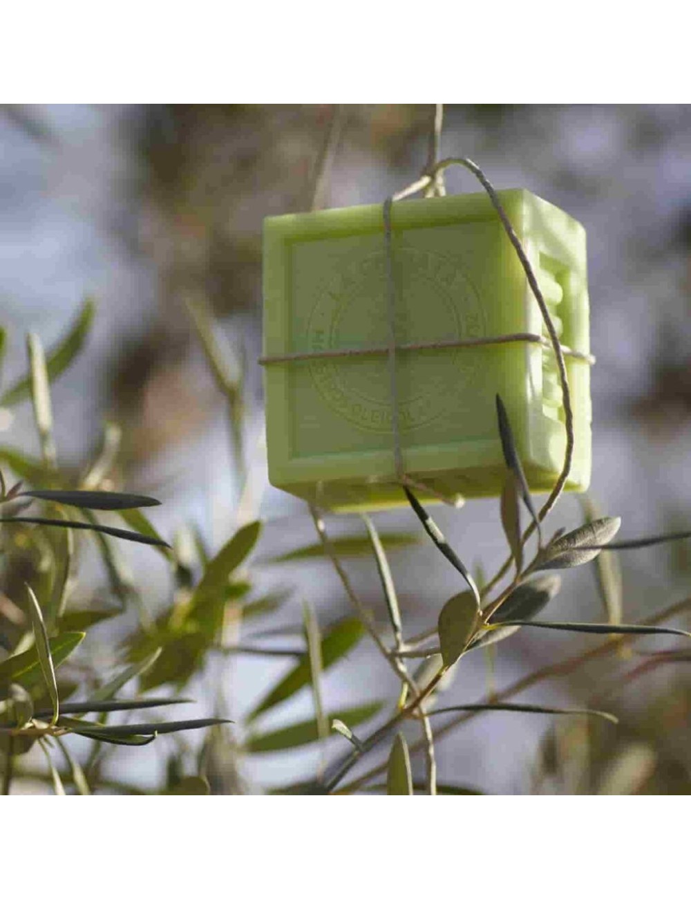 CESTA MEDIANA COSMÉTICA DE ACEITE DE OLIVA