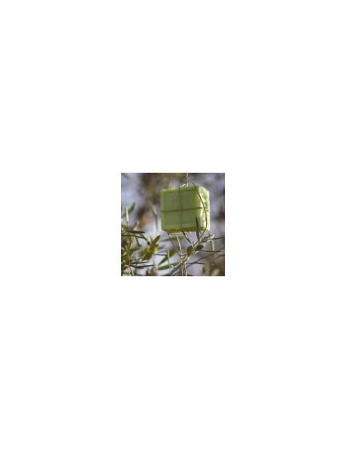 PACK COSMÉTICA CLÁSICA Nº2